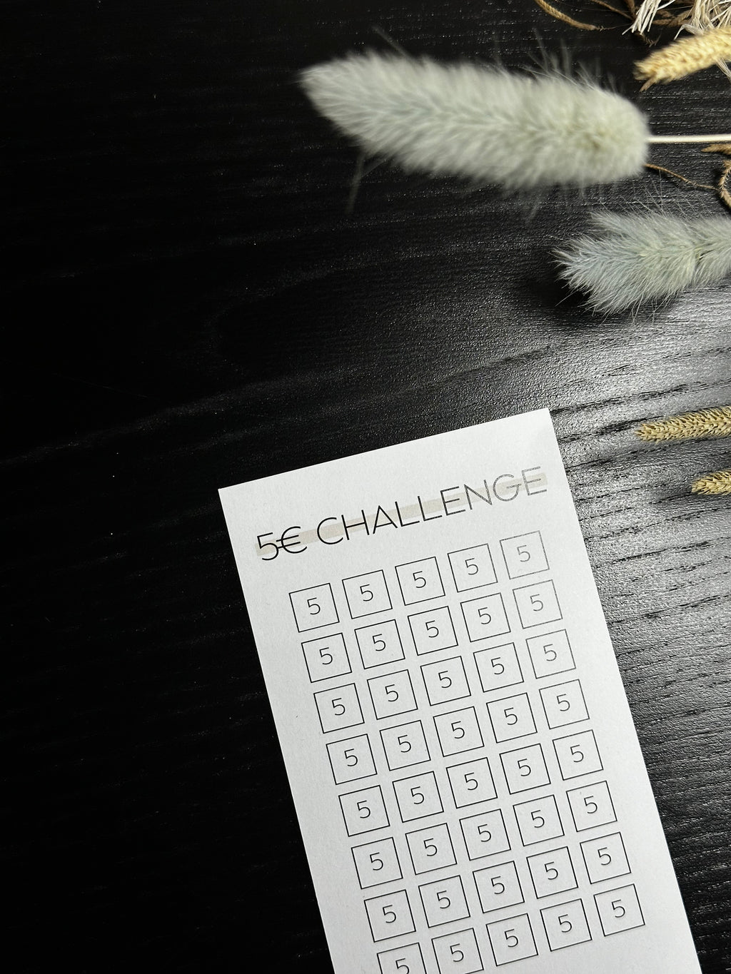 5 Euro Sparchallenge
