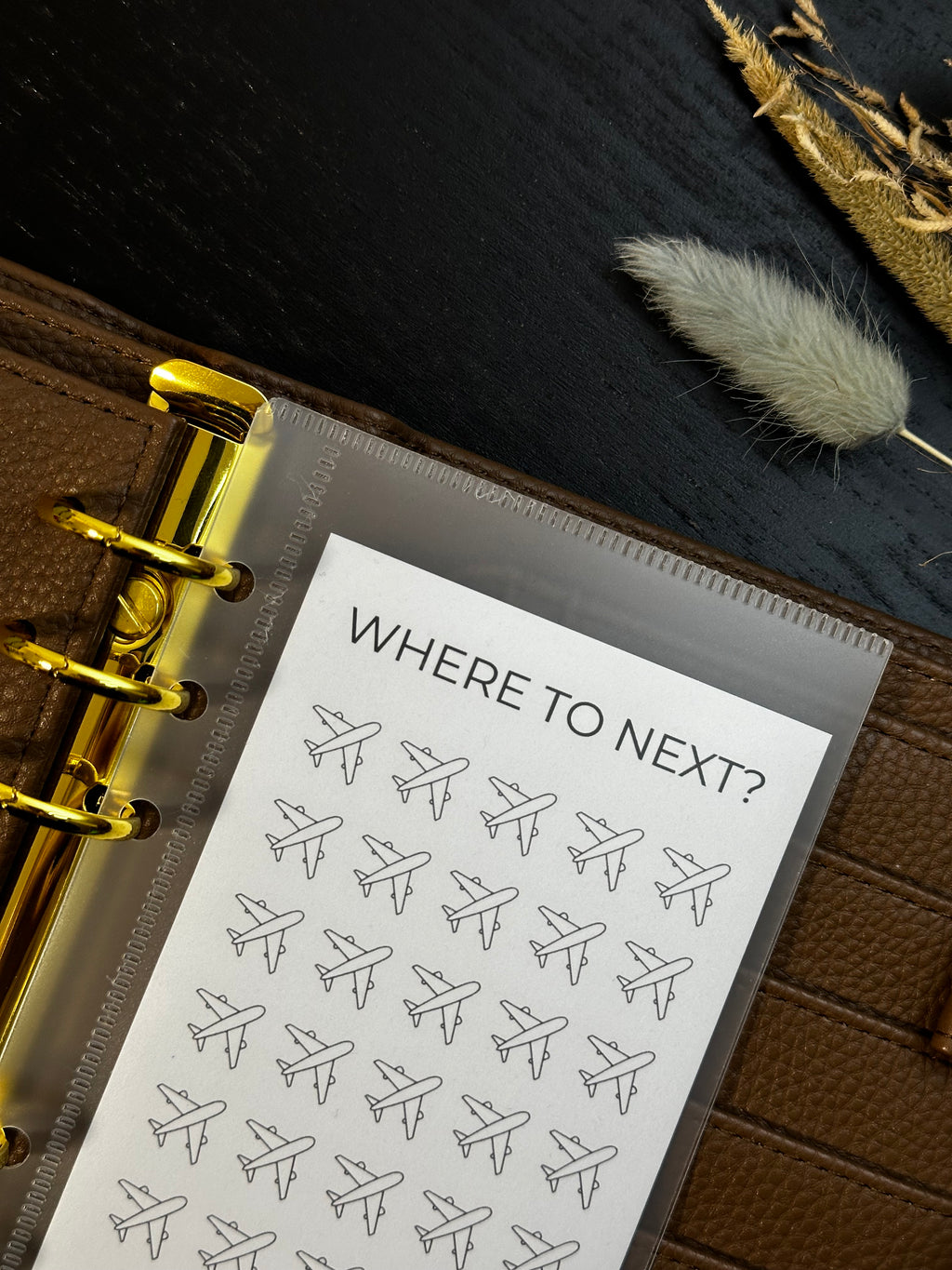 B-Ware Where to next Sparchallenge