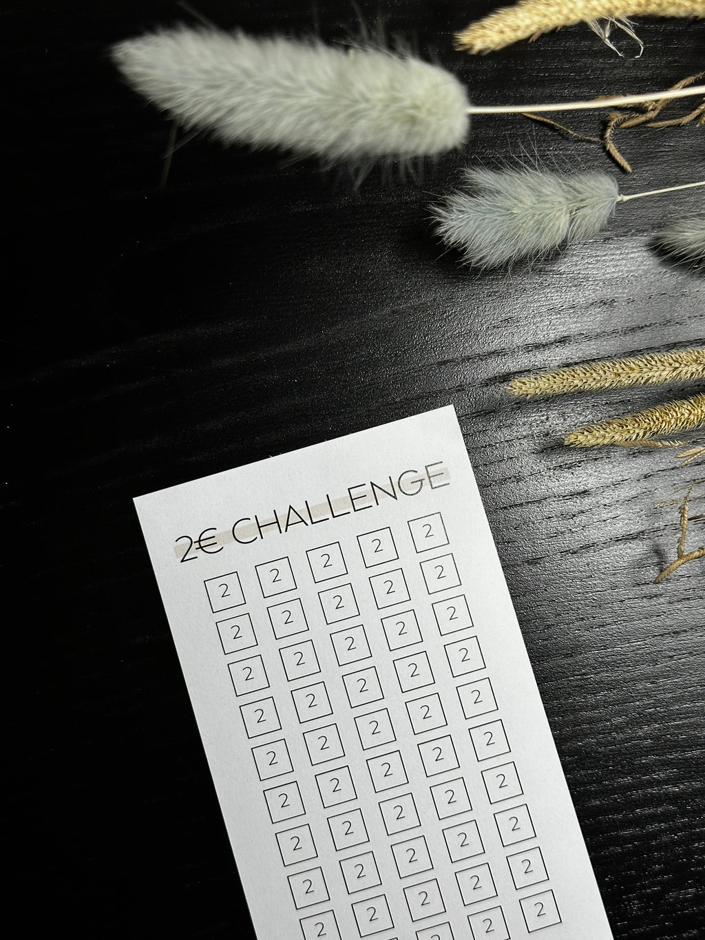 2 Euro Sparchallenge