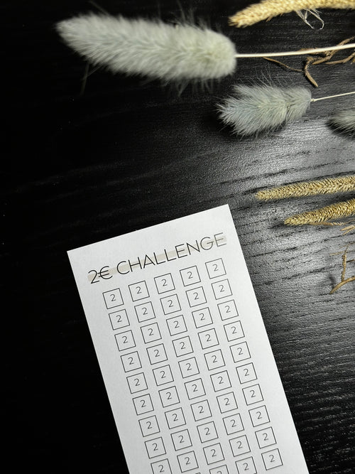 2 Euro Sparchallenge