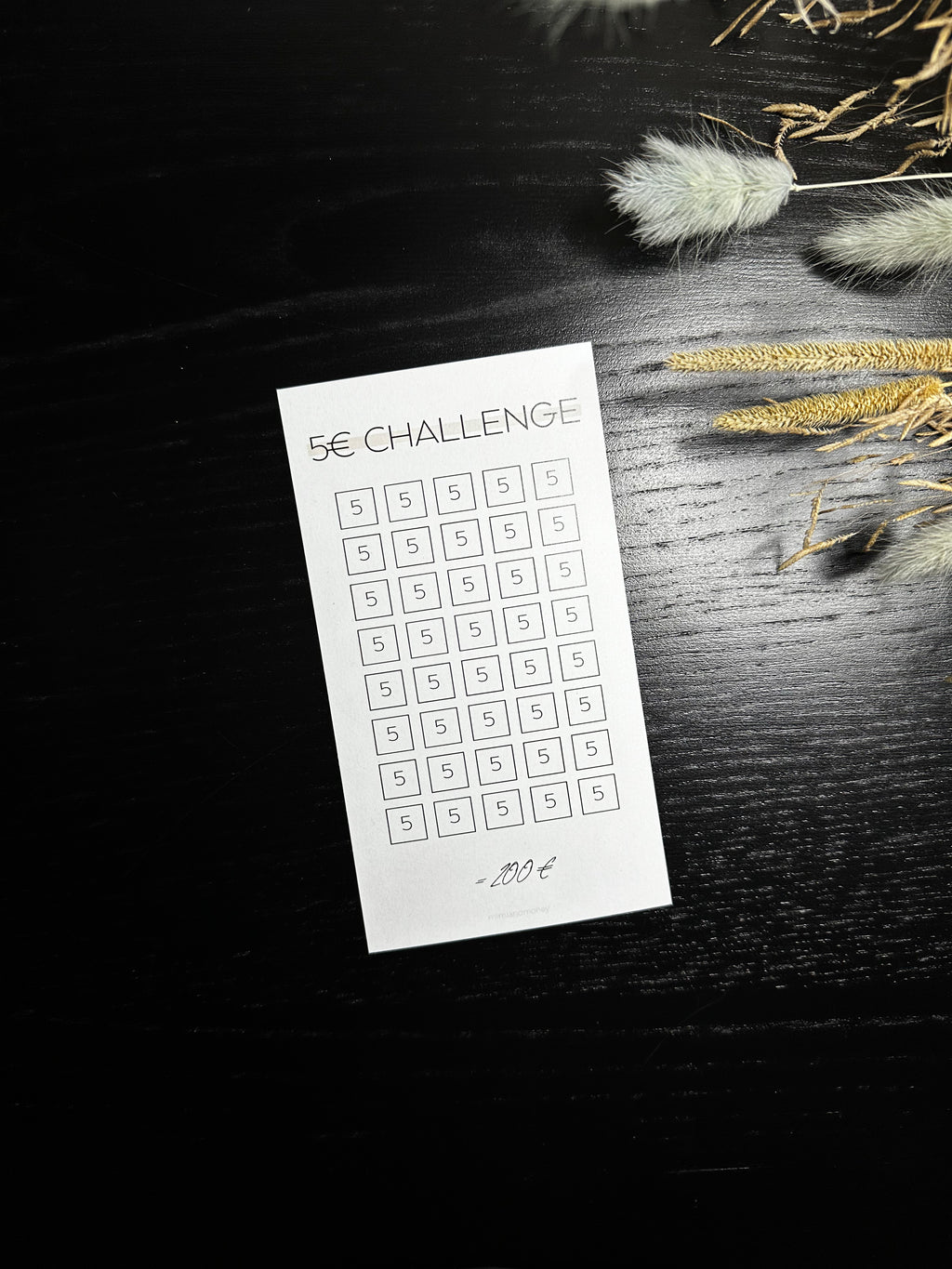 5 Euro Sparchallenge