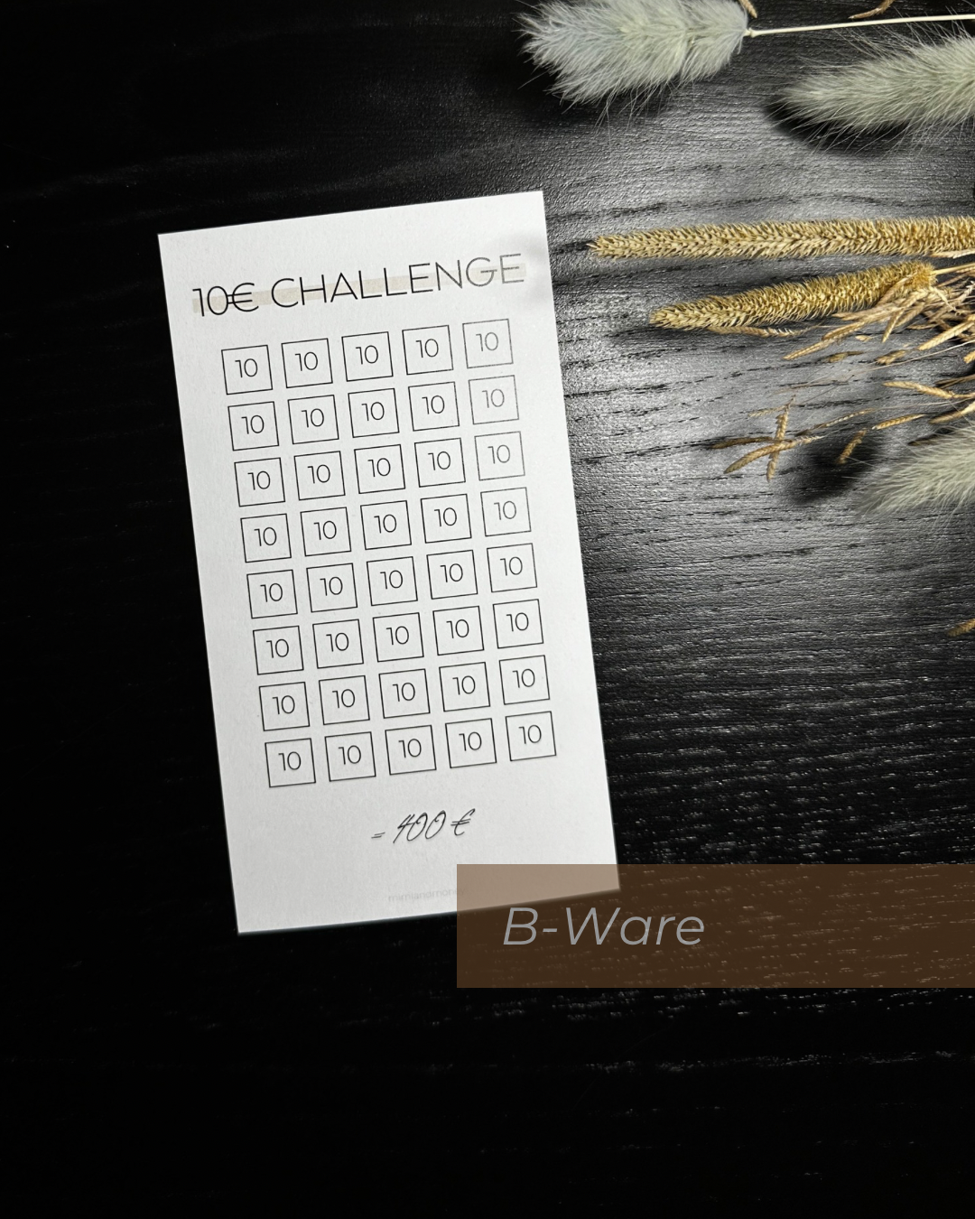 B-Ware 10 Euro Sparchallenge