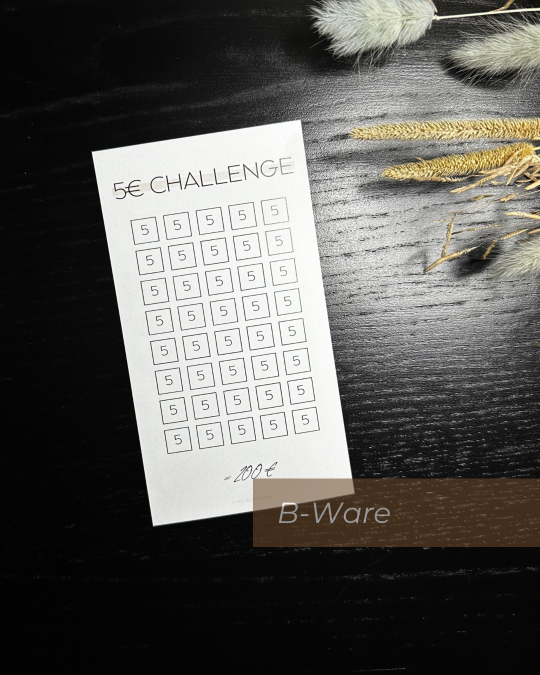 B-Ware 5 Euro Sparchallenge